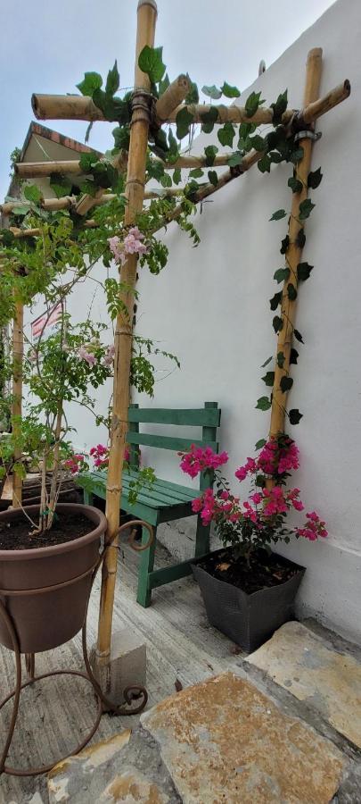 Dona Adelina House Aparthotel Ciudad Valles Eksteriør bilde